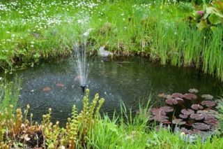 ᐅ Solar Teich Springbrunnen Dekorativ und nützlich für den Gartenteich