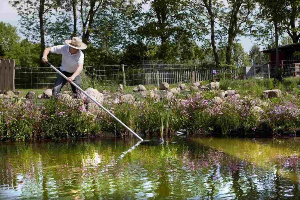 ᐅ Gartenteich reinigen SchrittfürSchritt Anleitung