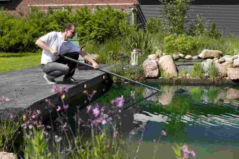ᐅ Teich sauber machen SchrittfürSchritt Anleitung