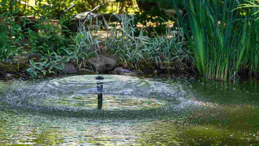 ᐅ Kleine Teichpumpen Modelle im Überblick