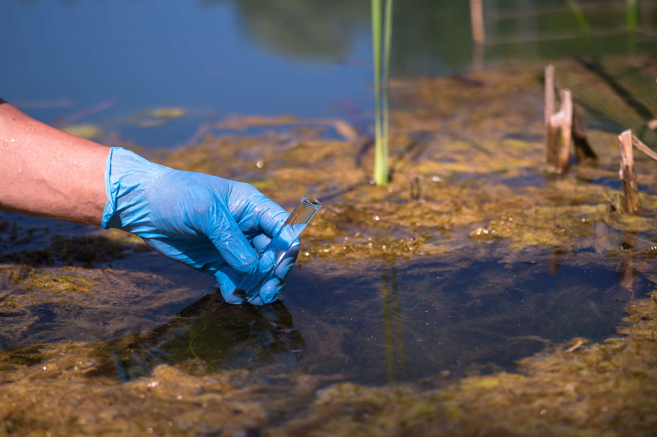 Wassertest Teich