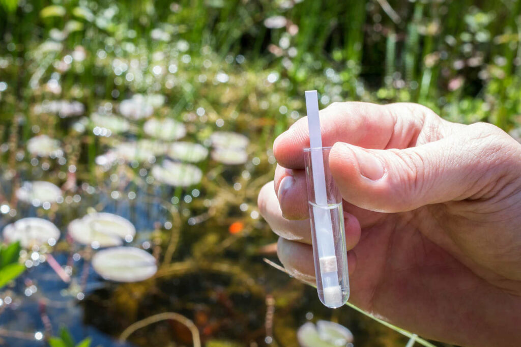 Wassertest im Teich richtig durchführen Anleitung
