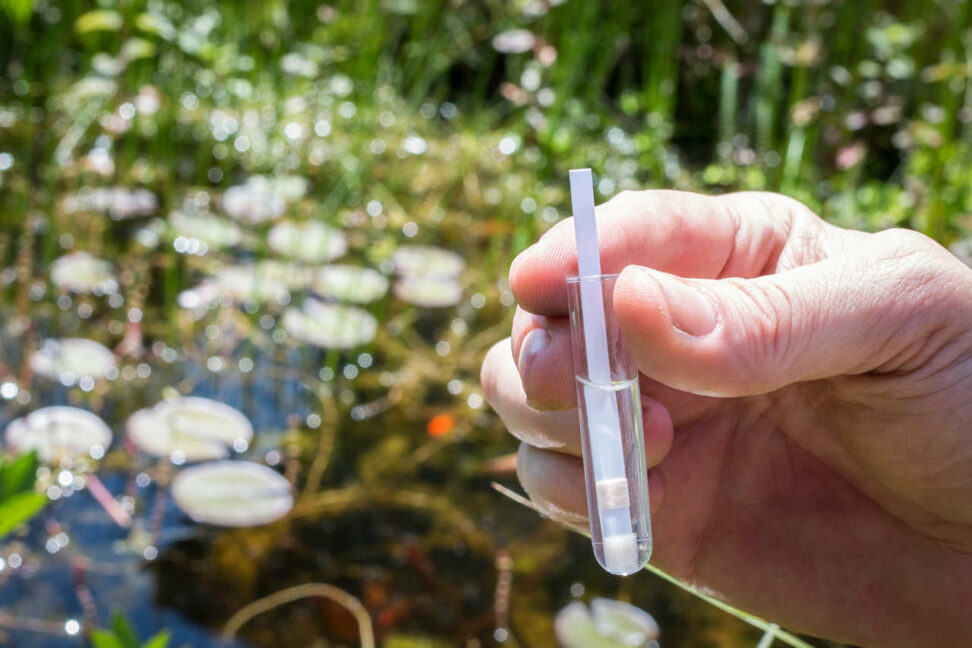 Wassertest Teich