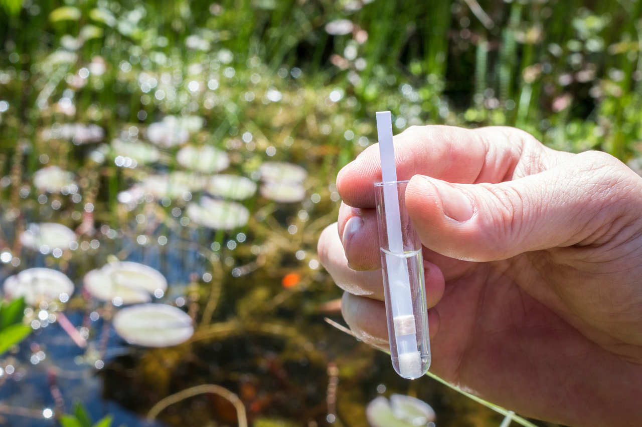 Wassertest Teich